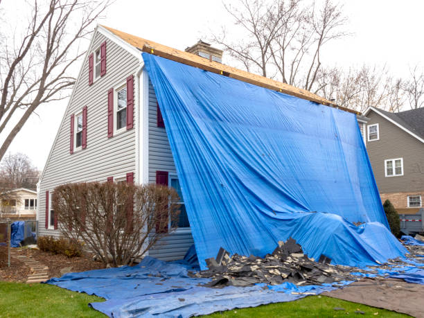 Best Brick Veneer Siding  in Lakewood, IL