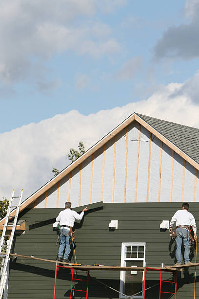 Best Fascia and Soffit Installation  in Lakewood, IL