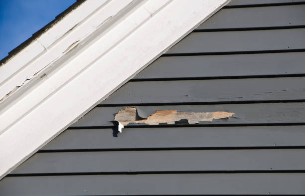 Best Vinyl Siding Installation  in Lakewood, IL