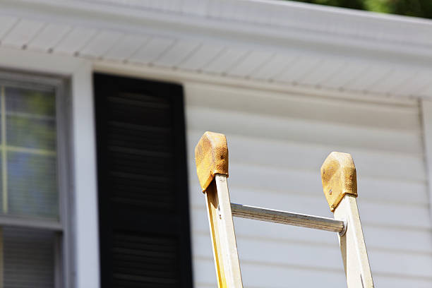 Best Historical Building Siding Restoration  in Lakewood, IL