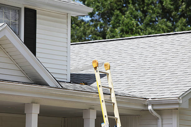 Lakewood, IL Siding Services Company